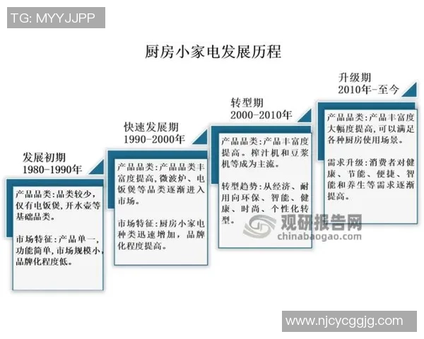 南京羽毛球队的战术控制与发展趋势深度解析